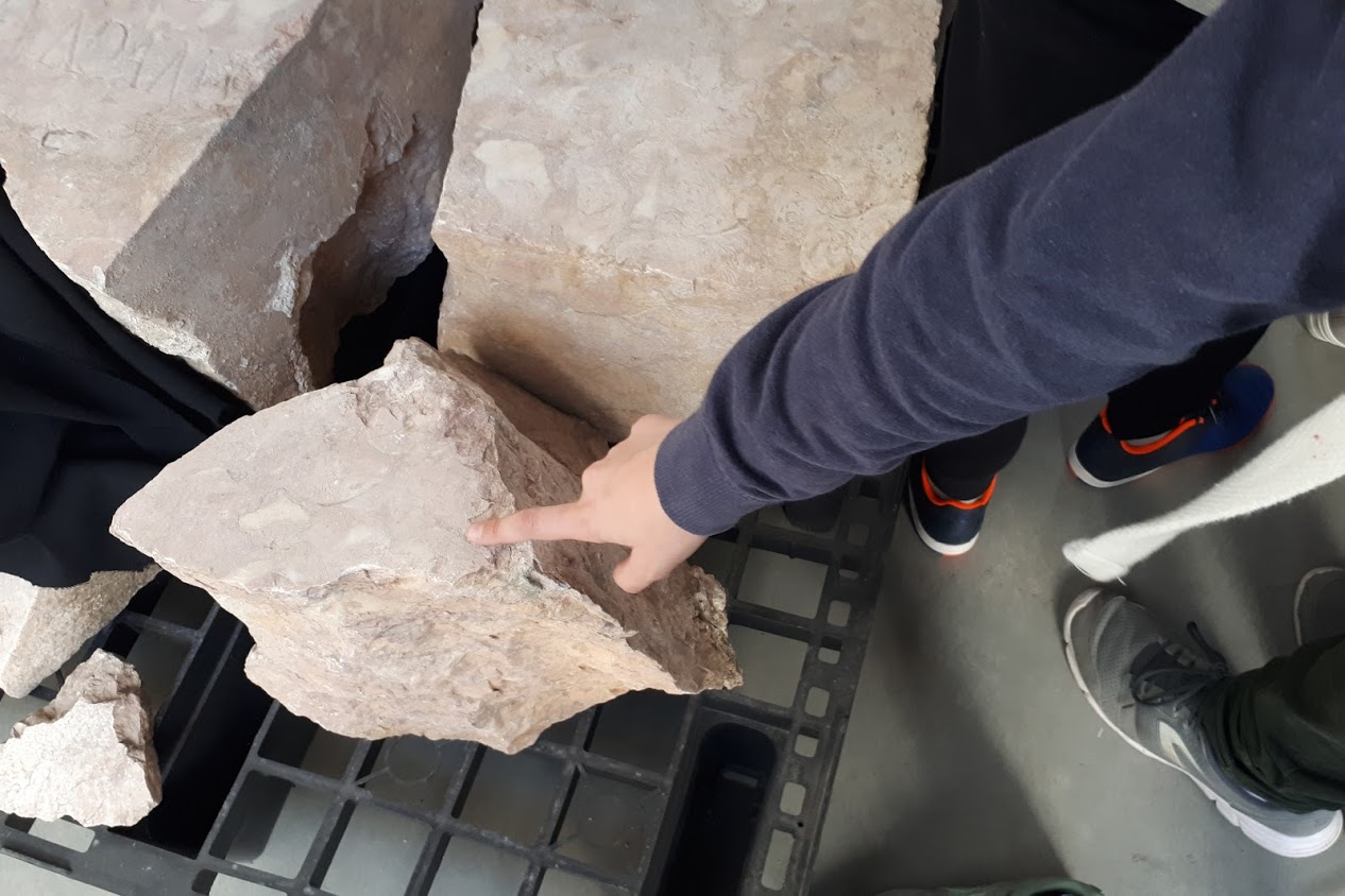 Mão de uma criança a tocar numa pedra