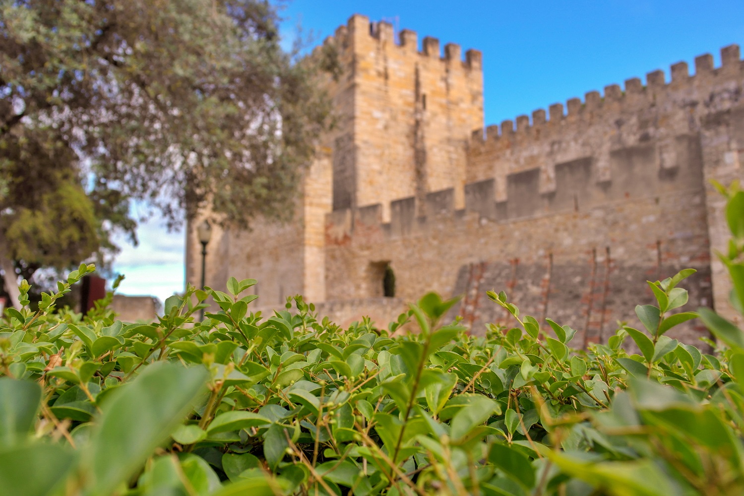 Castelo de São Jorge